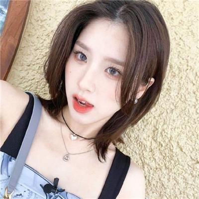 完美伴侣2025